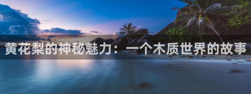匠星娱乐政f下跪欧普软件园