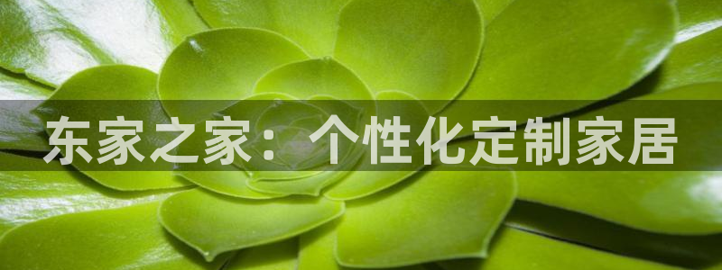 星欧娱乐负责人