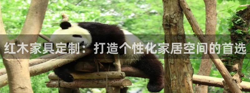 娱乐星扒客欧豪
