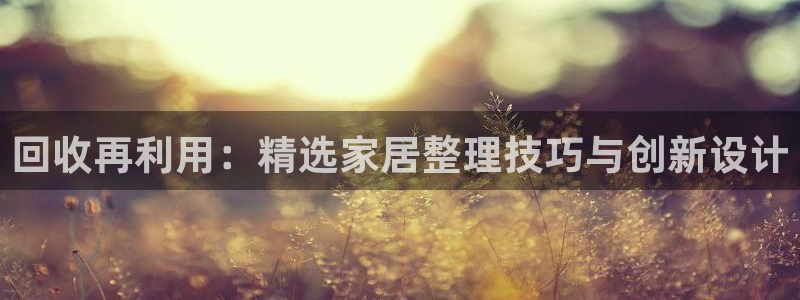 星欧娱乐代理