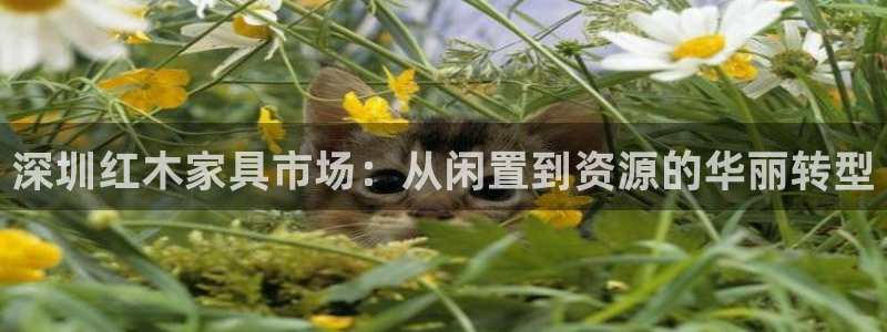 星欧娱乐官方网页