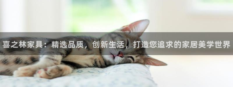 星欧娱乐号7o777