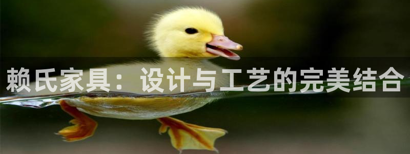 星欧娱乐负责人