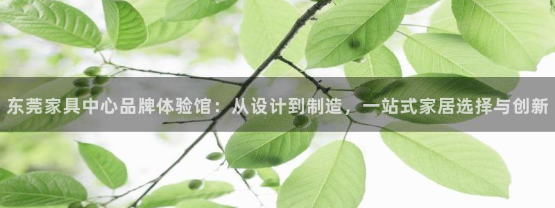 欧乐星城娱乐的介绍