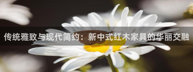 欧星娱乐网站