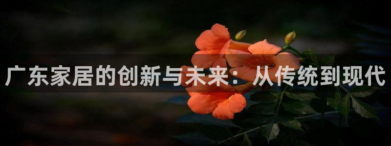 欧联杯正赛星辉娱乐