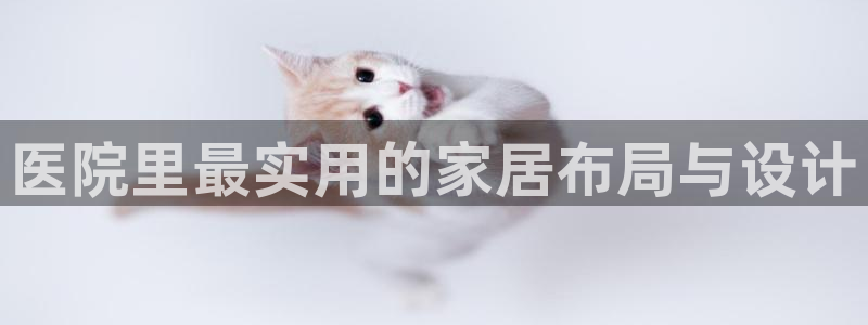 星欧娱乐注册资金多少