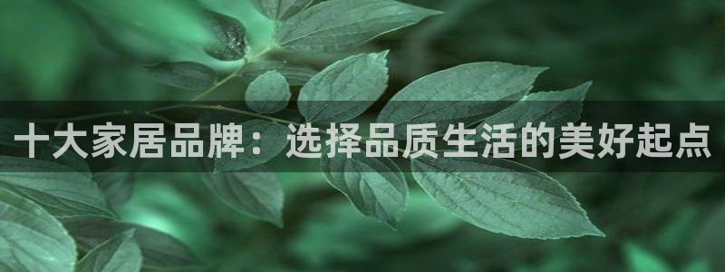 欧乐星城有没有娱乐设施