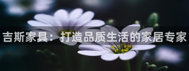 星欧娱乐主管