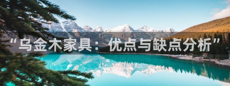 金欧岗星熠娱乐