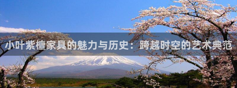 娱乐星天地欧豪