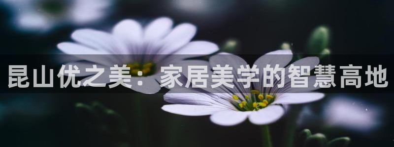 星欧娱乐官方网页