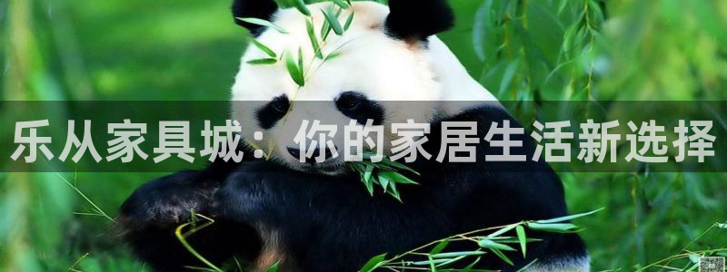 娱乐星天地欧豪
