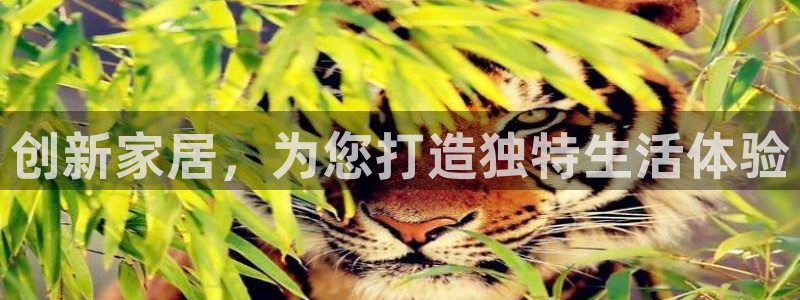 欧星娱乐网站