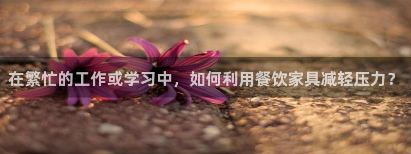 星欧娱乐公司电话号码