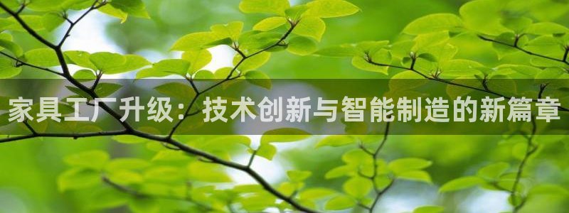 星欧娱乐官方网页版入口