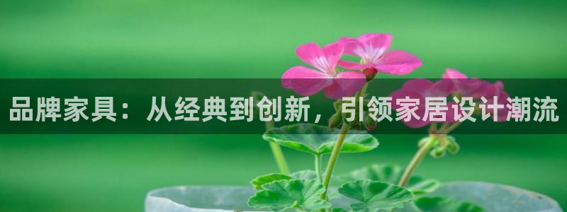 星欧娱乐606251