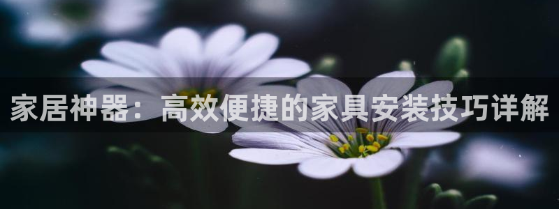 娱乐星扒客欧豪