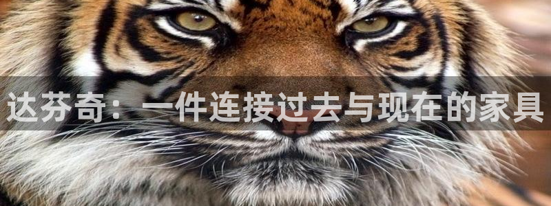 欧星线上娱乐