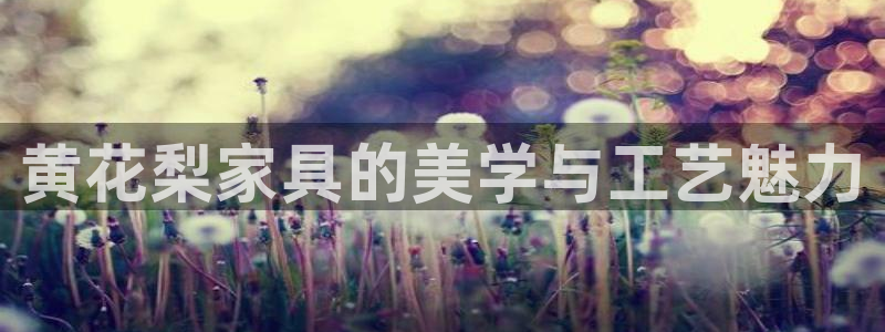 星欧娱乐游戏