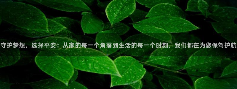 欧星娱乐08