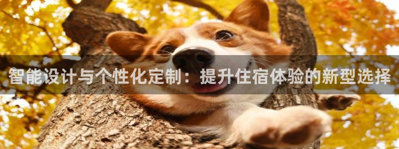 欧星娱乐下载