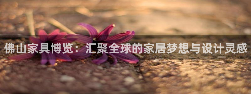 欧星娱乐的盘口