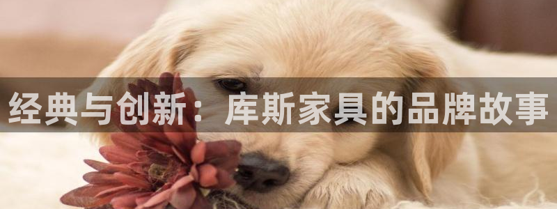 星欧娱乐最新活动
