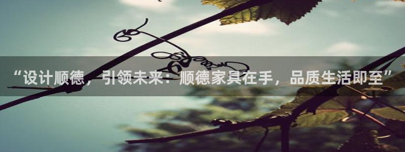 常州欧尚超市五星店娱乐