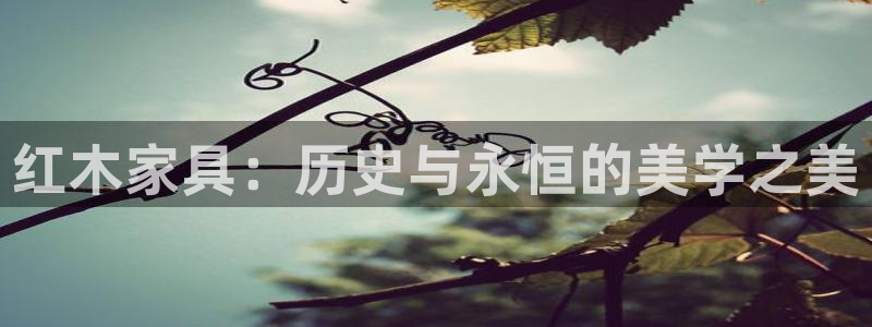 欧乐星城团购娱乐怎么样