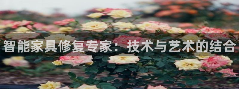 欧星娱乐08