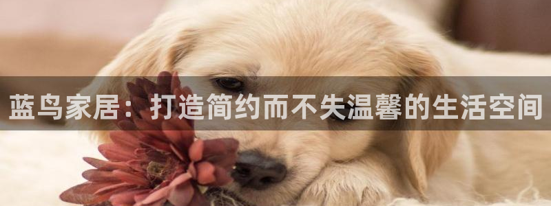 星欧娱乐雀V是什么平台