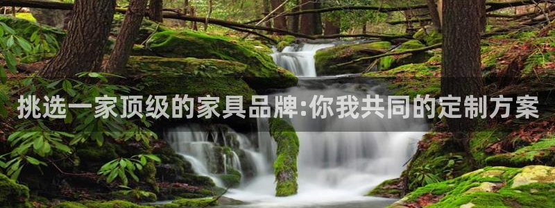 星欧娱乐公司