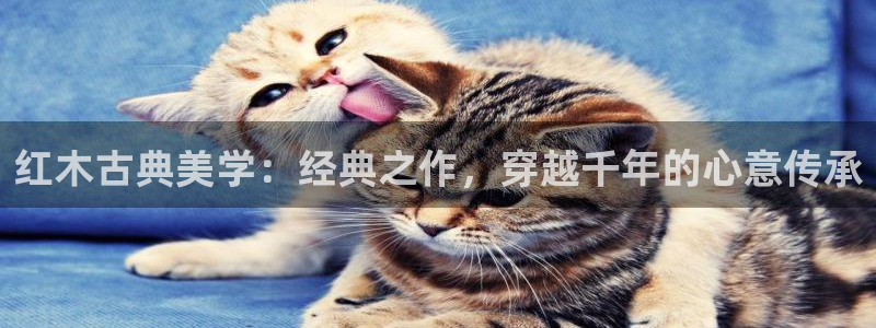 欧星娱乐