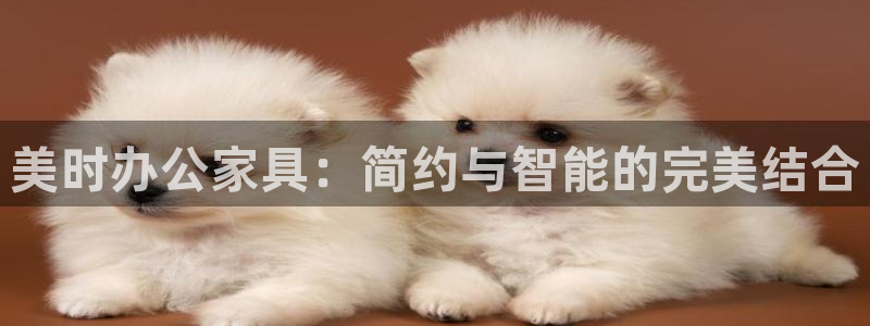 星欧娱乐公司老板背景