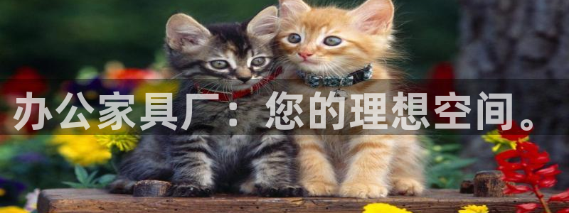 星欧娱乐雀V是什么平台