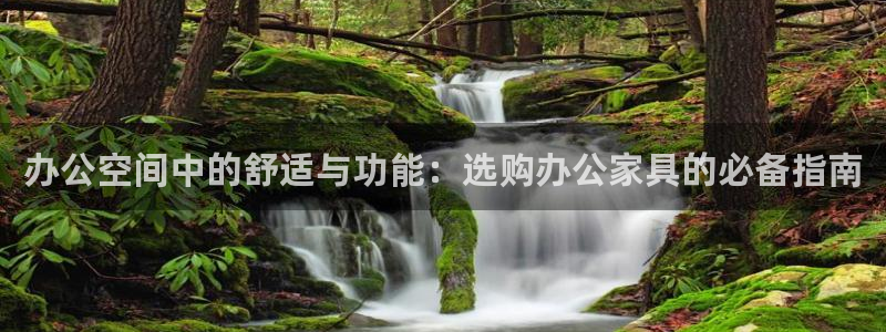 星欧娱乐最新消息今天