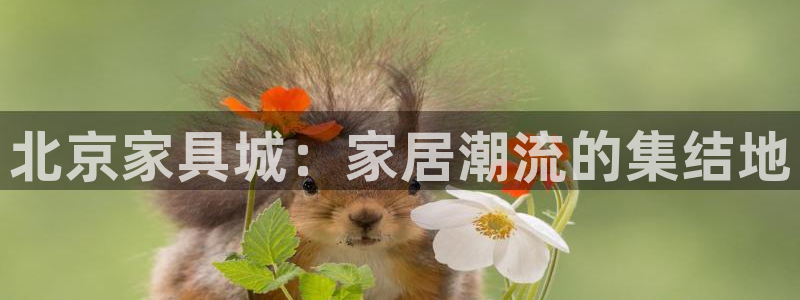 欧星娱乐网址无脑赚