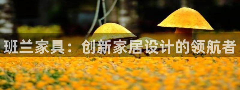 星欧娱乐app注册