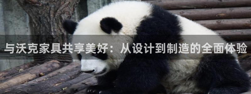 星欧娱乐经纪公司简介