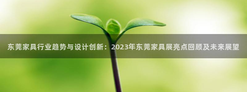 欧星老虎机娱乐：东莞家具行业趋势与设计创新：2023年东莞家