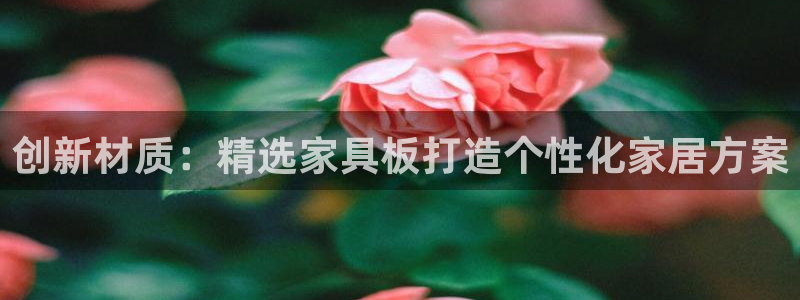 星欧娱乐平台注册入口