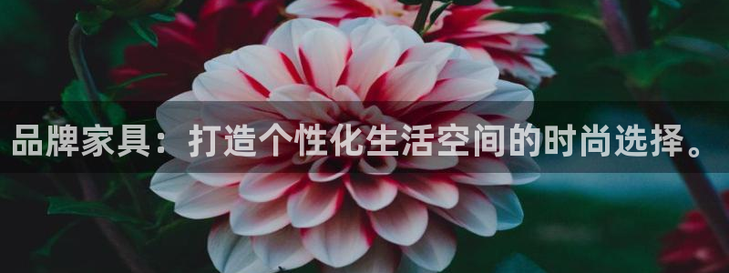 星欧娱乐公司电话号码