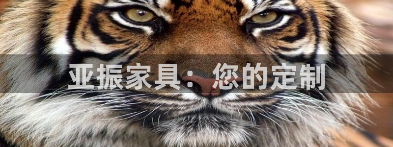 星欧娱乐旗下艺人名单