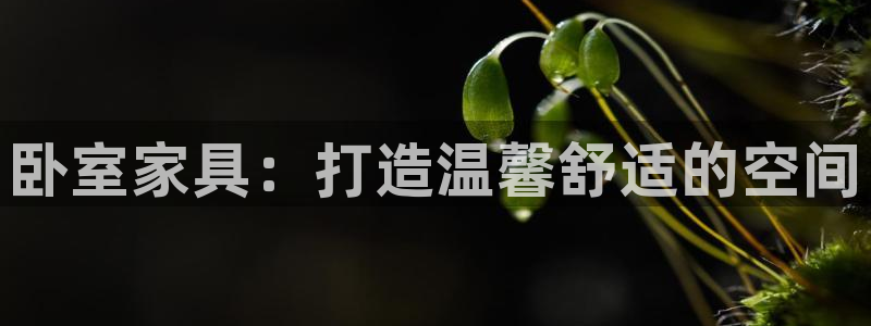 星饭娱乐欧豪是谁