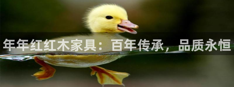 星欧娱乐在线注册