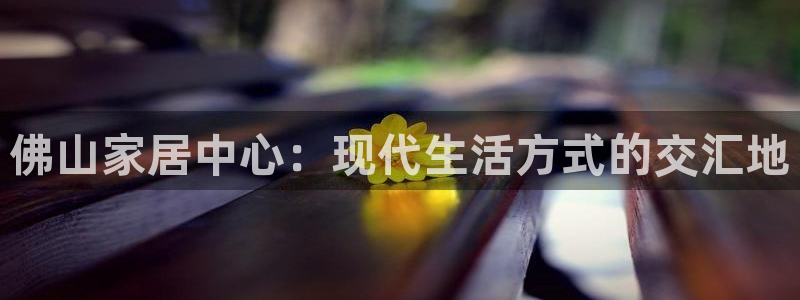 星辉娱乐进入欧连杯