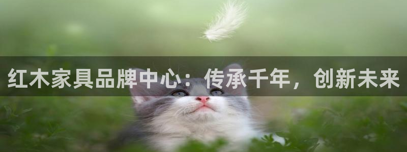 星欧娱乐客服人工电话