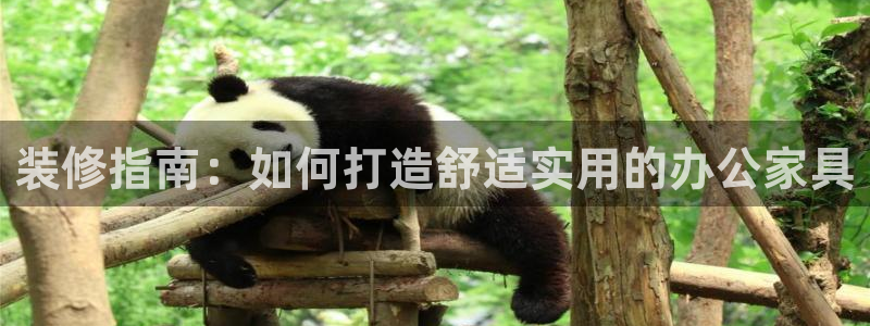 星欧娱乐招商非7O777