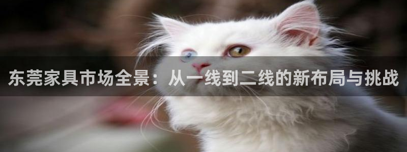 星欧娱乐扣费详情详解